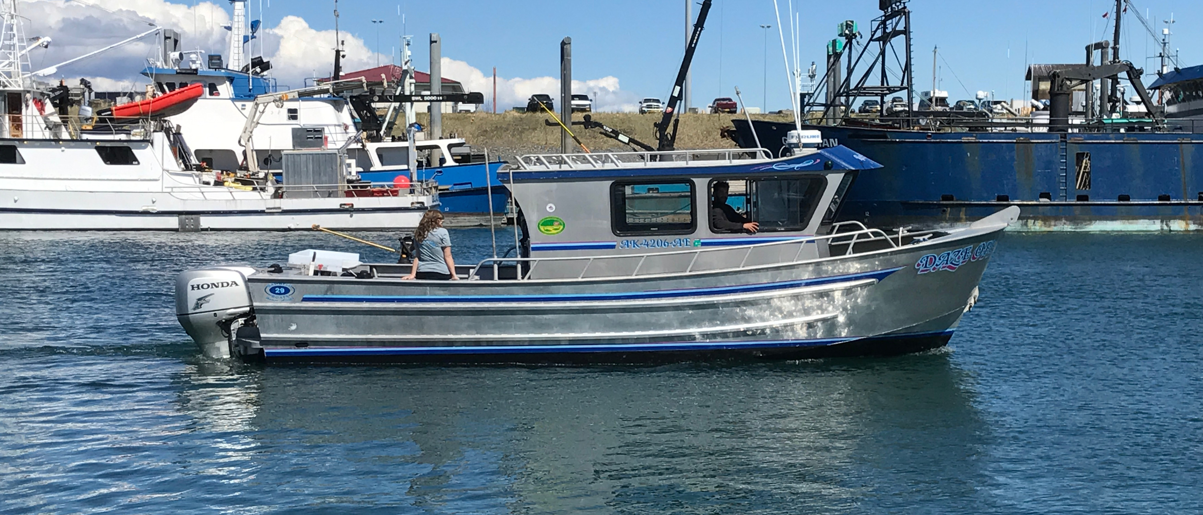 How to charter a fishing boat Building your own canoe