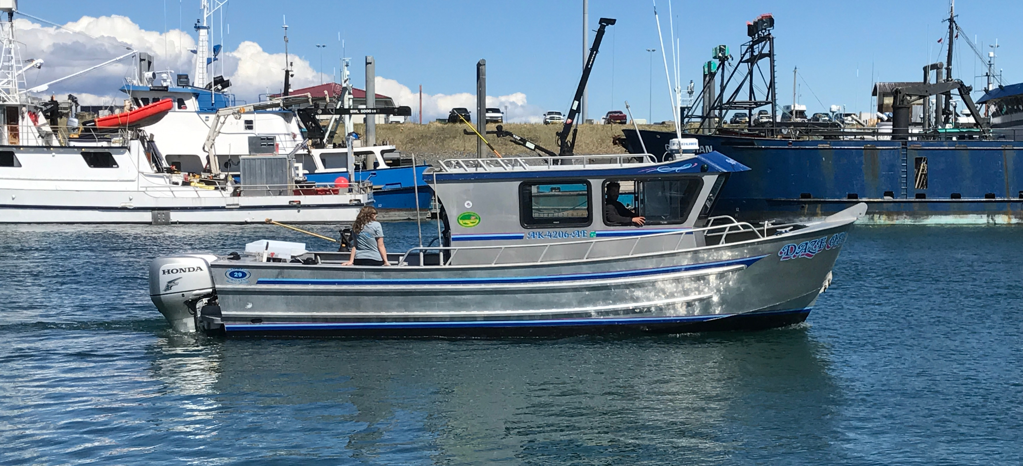 halibut and salmon charter boats