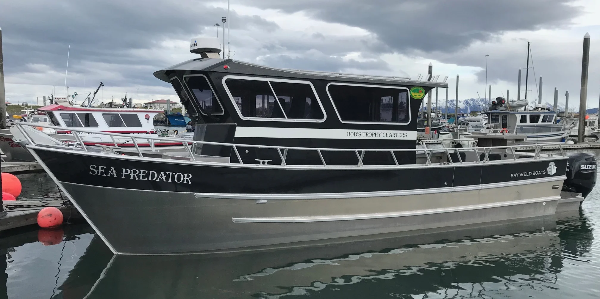 sea_predator