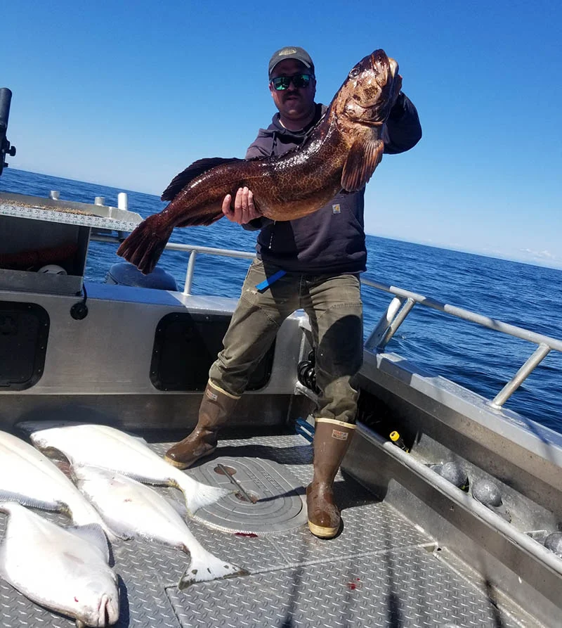 lingcod-charter-fishing
